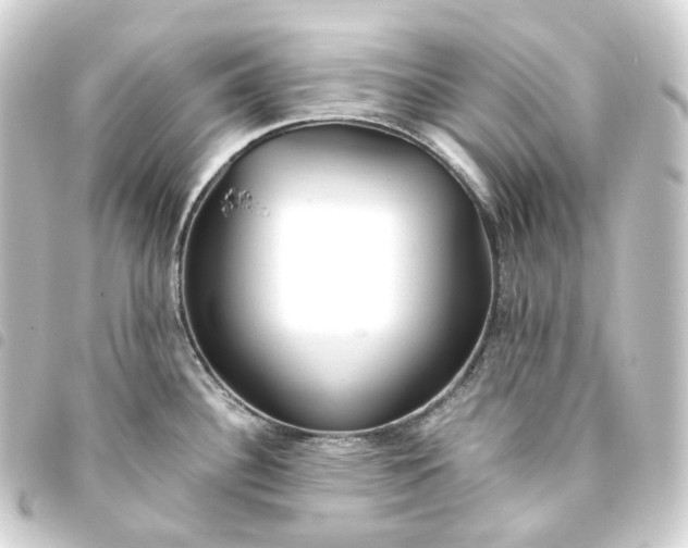 X0000093751340200710301117