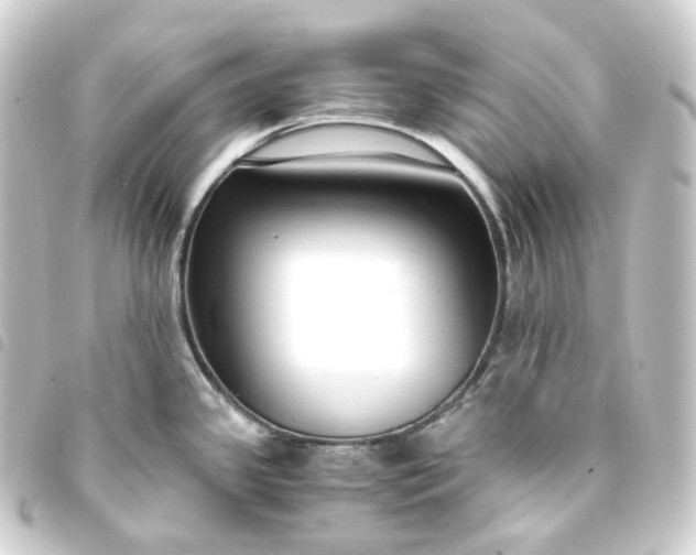 X0000093751341200710301117