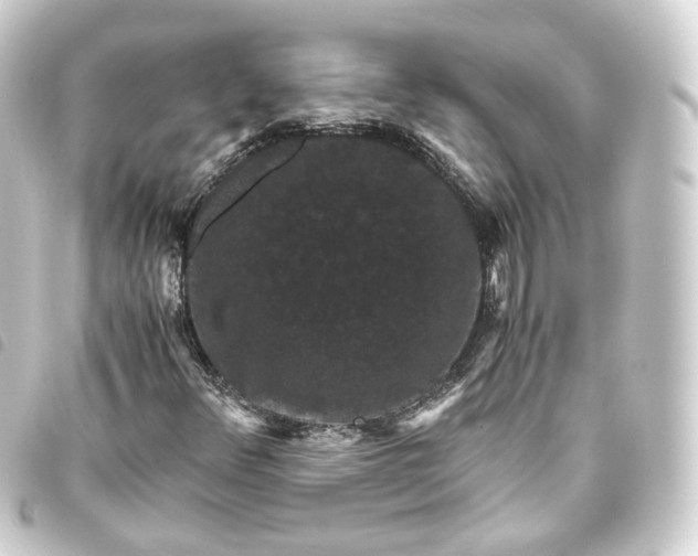 X0000093751348200710301116