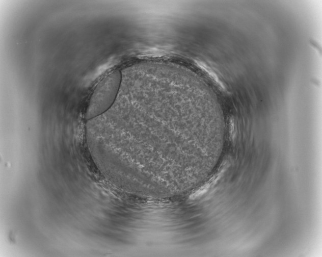 X0000093751350200710301116