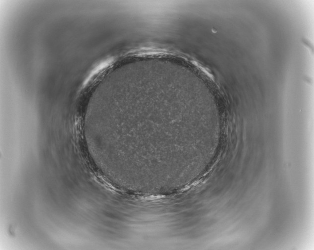 X0000093751351200710301116