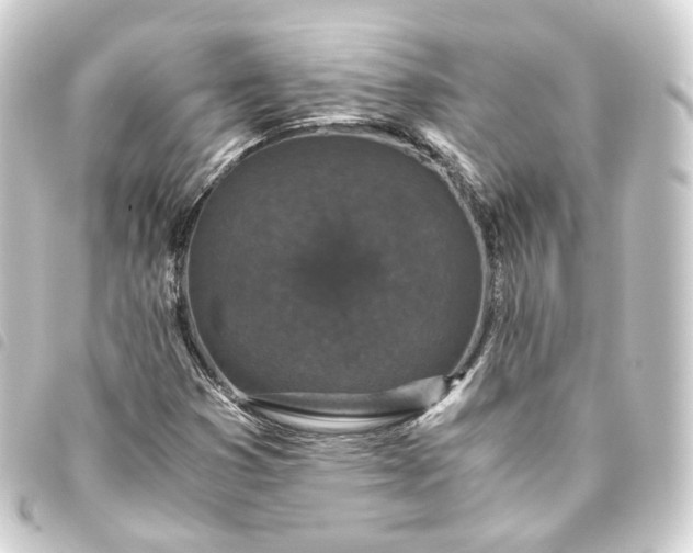 X0000093751353200710301116