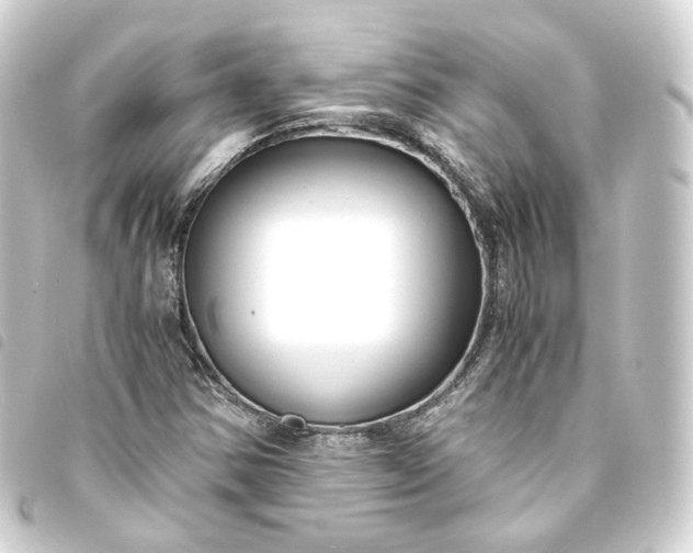 X0000093751354200710301116