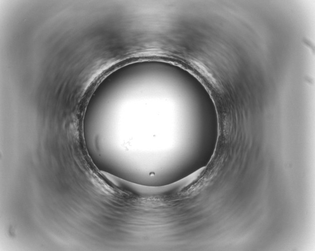 X0000093751356200710301116