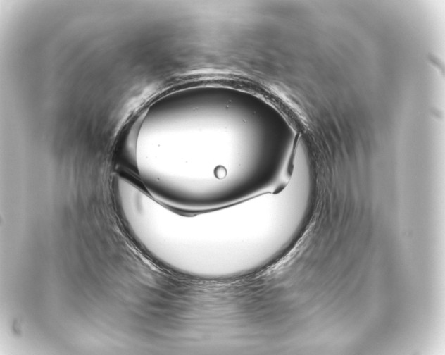 X0000093751357200710301116