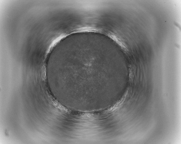 X0000093751358200710301116