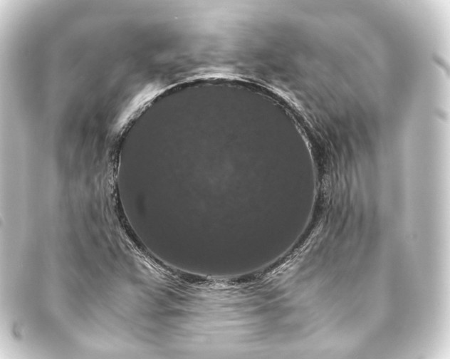 X0000093751359200710301116
