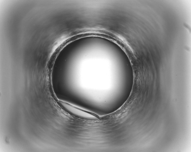 X0000093751360200710301116