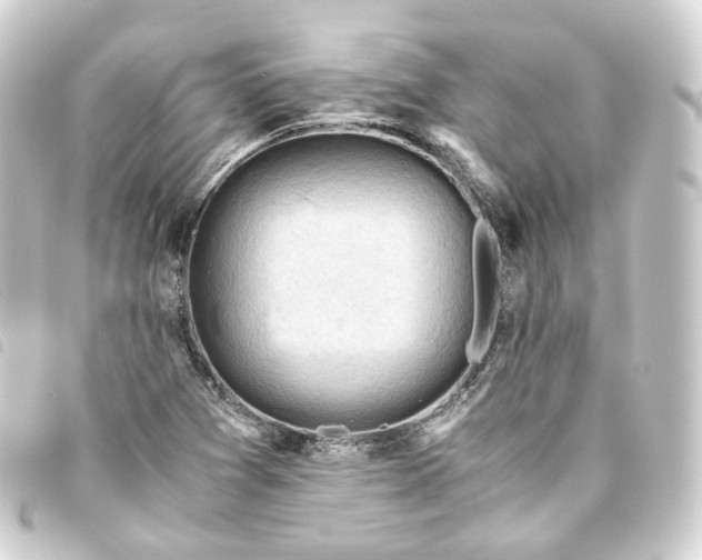 X0000093751361200710301116