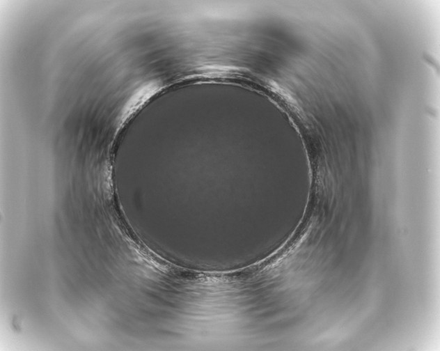 X0000093751362200710301116