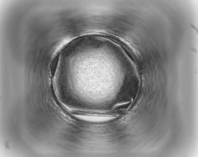 X0000093751363200710301116