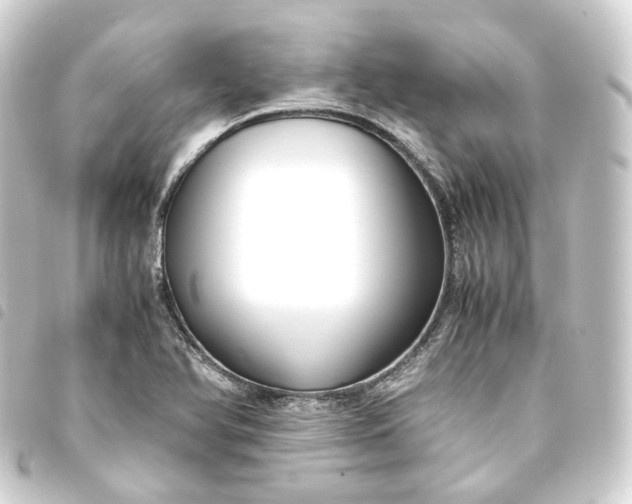 X0000093751366200710301116