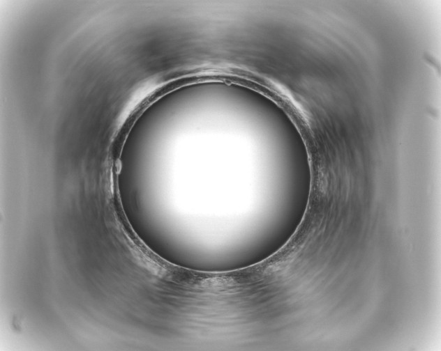 X0000093751368200710301116