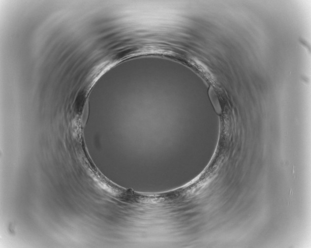 X0000093751369200710301116