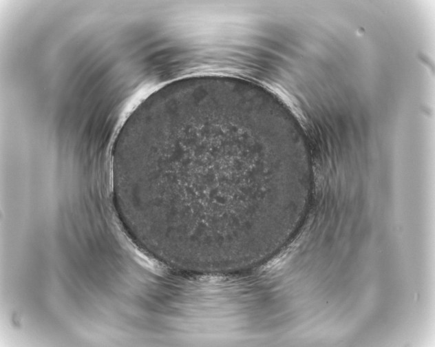 X0000093751371200710301116