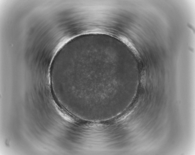 X0000093751372200710301116