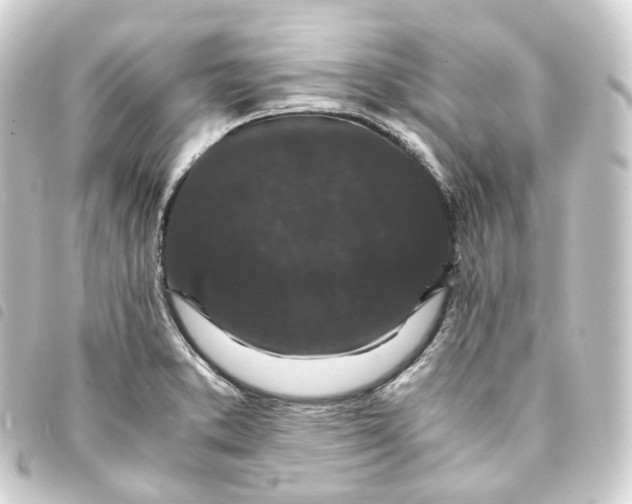 X0000093751373200710301116