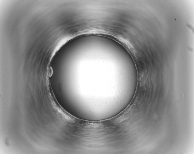 X0000093751374200710301116