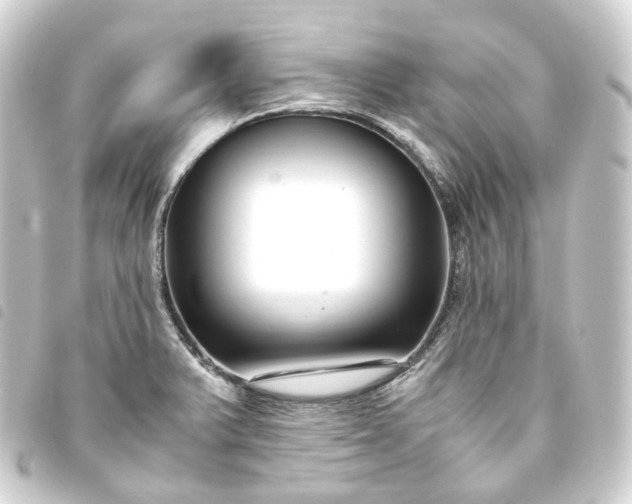 X0000093751375200710301116