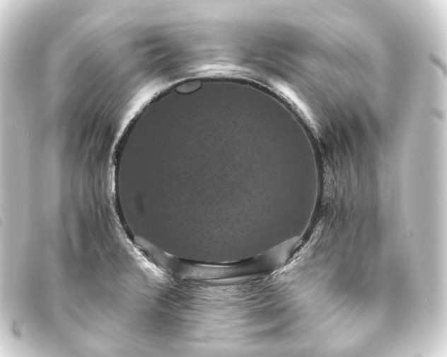 X0000093751376200710301116