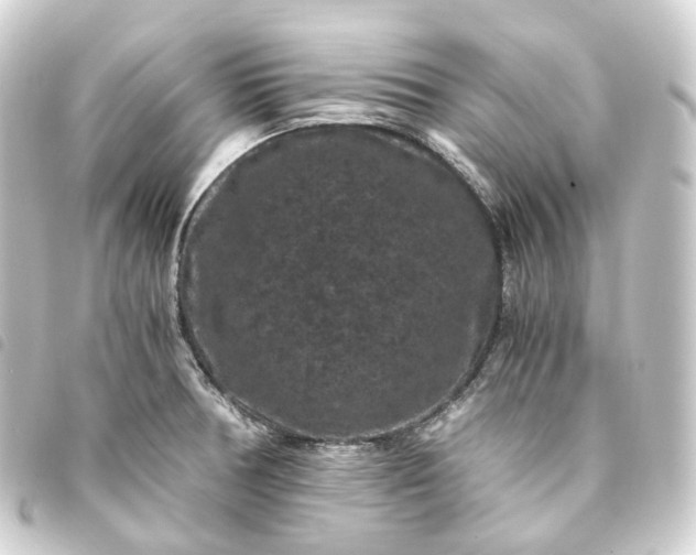 X0000093751378200710301116
