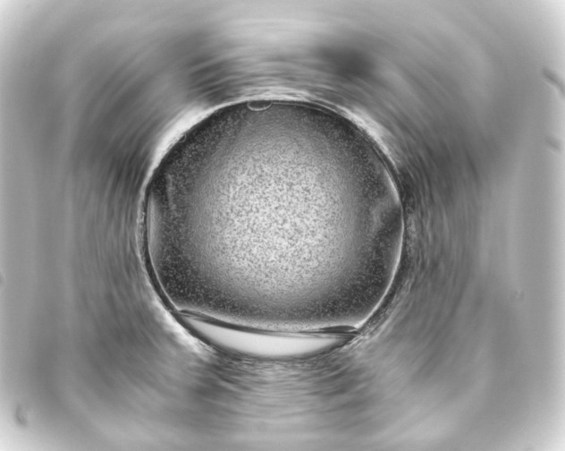 X0000093751379200710301116