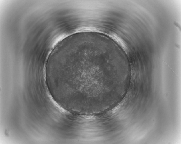 X0000093751382200710301116
