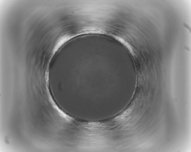 X0000093751383200710301116