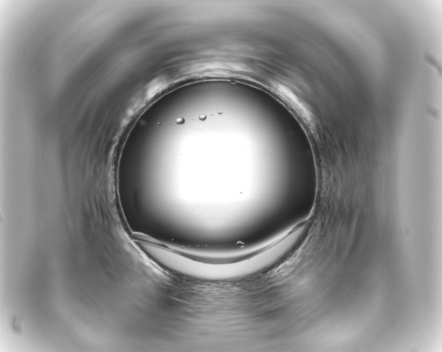 X0000093751384200710301116