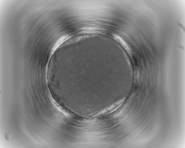 X0000093751386200710301116