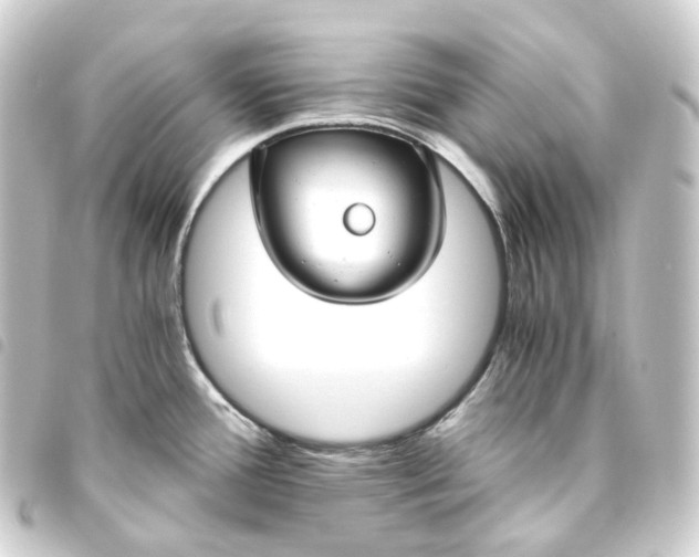 X0000093751388200710301116