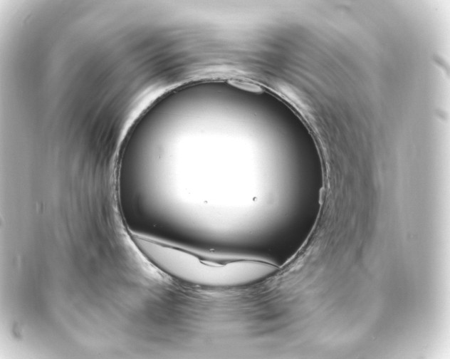 X0000093751392200710301116