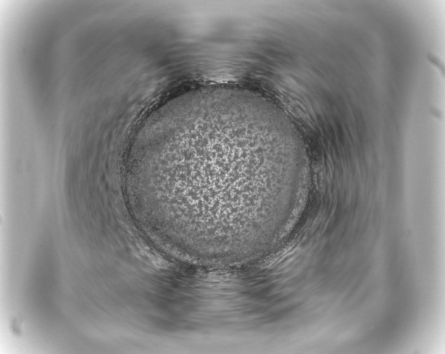 X0000093751393200710301115