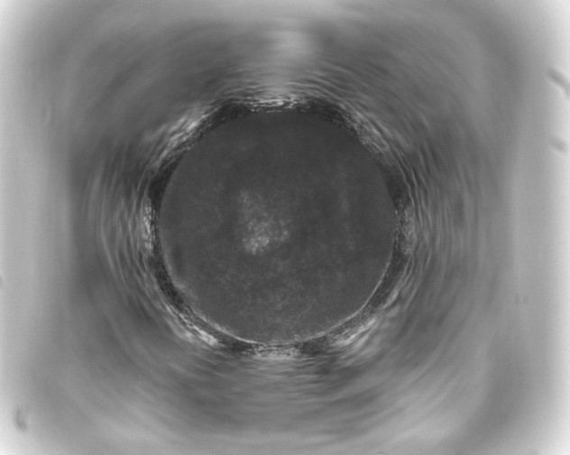 X0000093751394200710301115