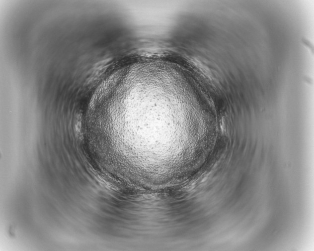 X0000093751396200710301115