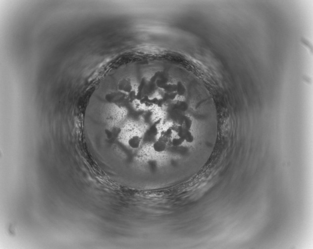 X0000093751397200710301115
