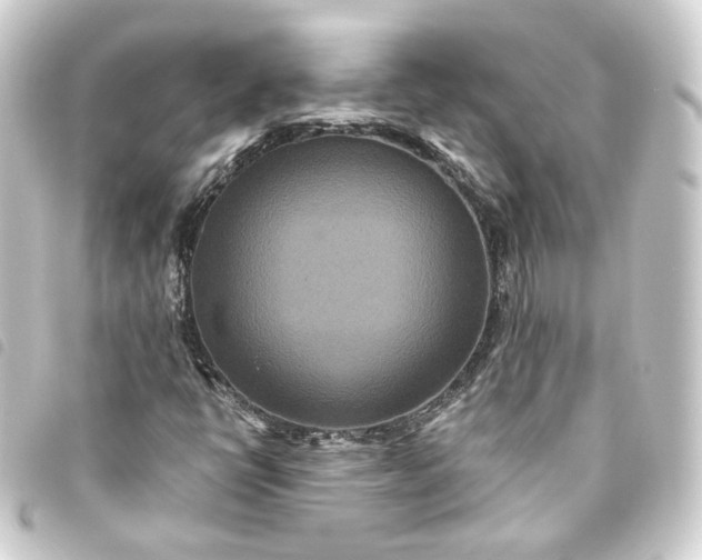 X0000093751398200710301115