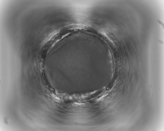 X0000093751399200710301115