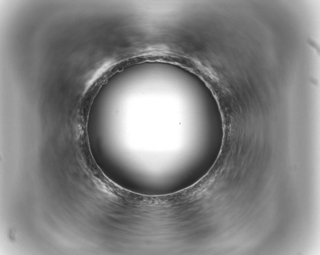 X0000093751400200710301115