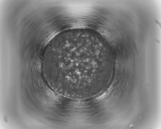 X0000093751401200710301115