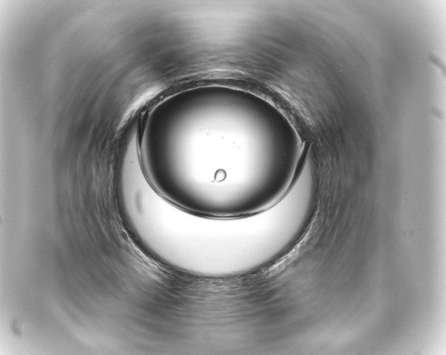 X0000093751402200710301115