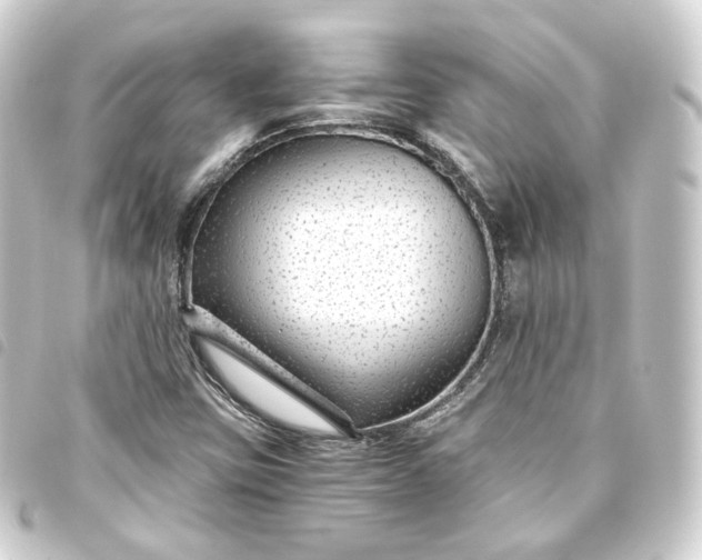 X0000093751403200710301115
