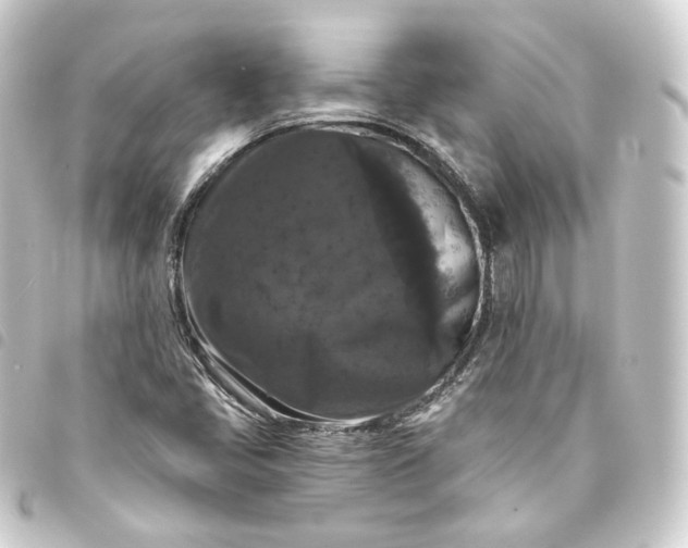 X0000093751405200710301115