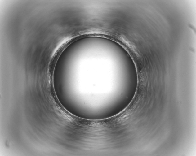 X0000093751408200710301115