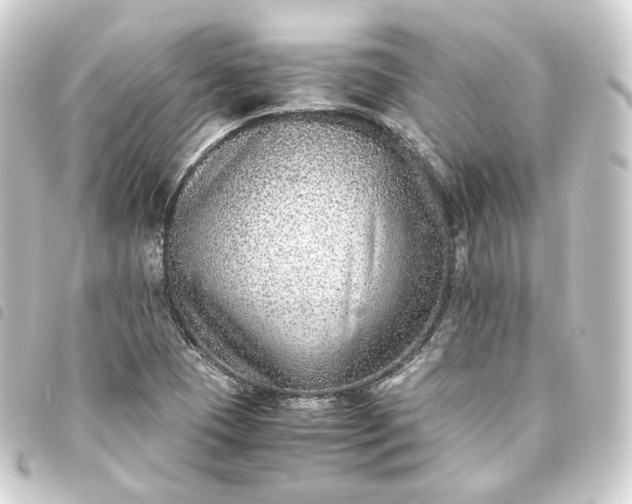 X0000093751409200710301115