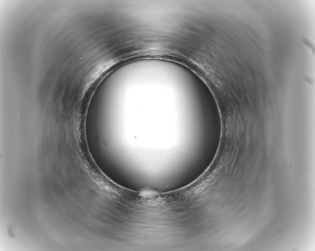 X0000093751410200710301115