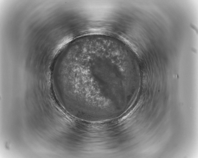 X0000093751411200710301115