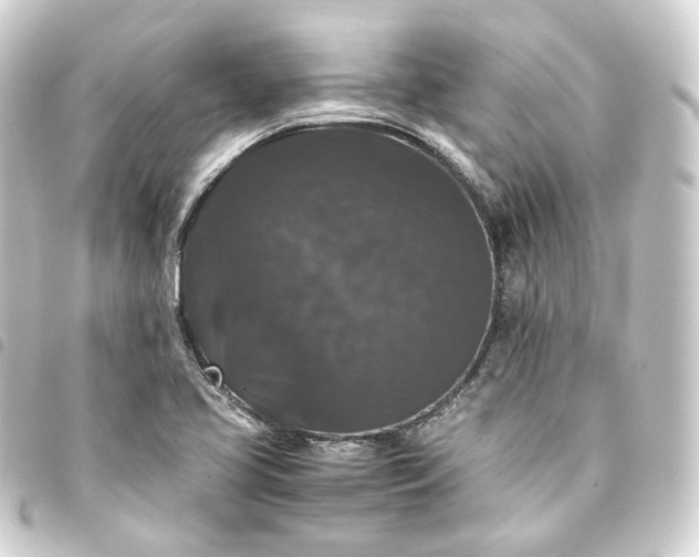 X0000093751413200710301115