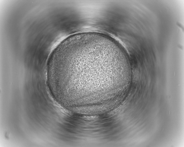 X0000093751415200710301115