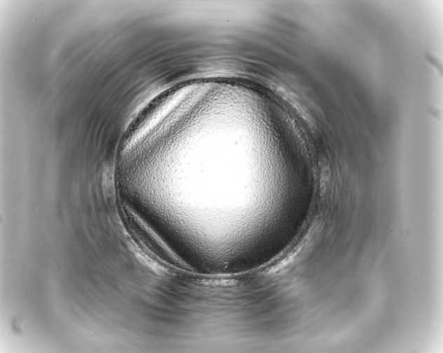 X0000093751417200710301116